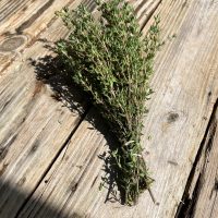 Thyme