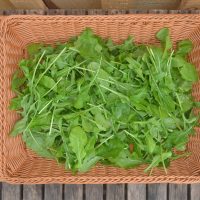 Arugula (large bag)
