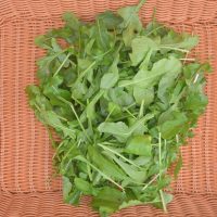 Arugula