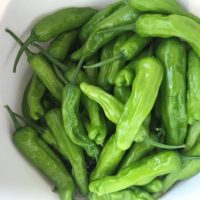 Shishito Peppers